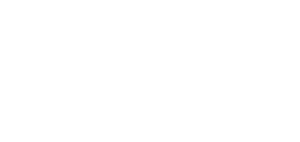nhb logo white nhb logo white